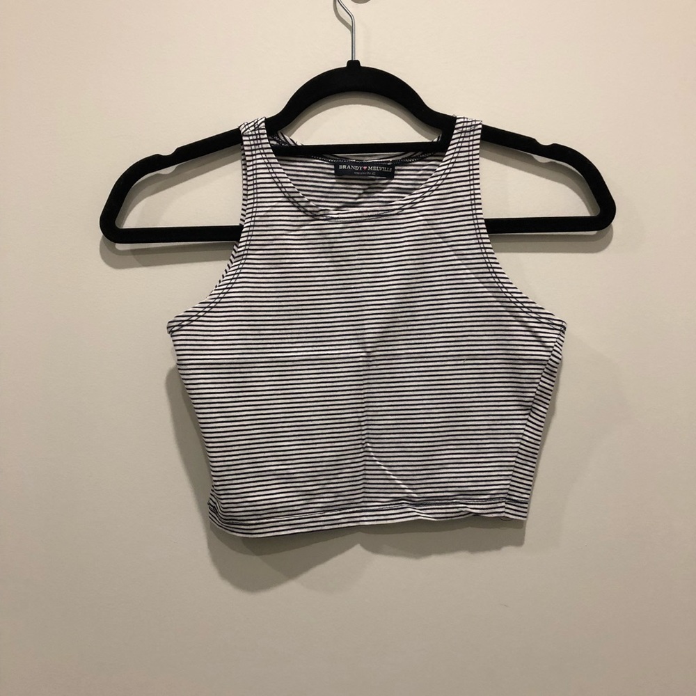 Blue and White Striped Brandy Melville Crop Top